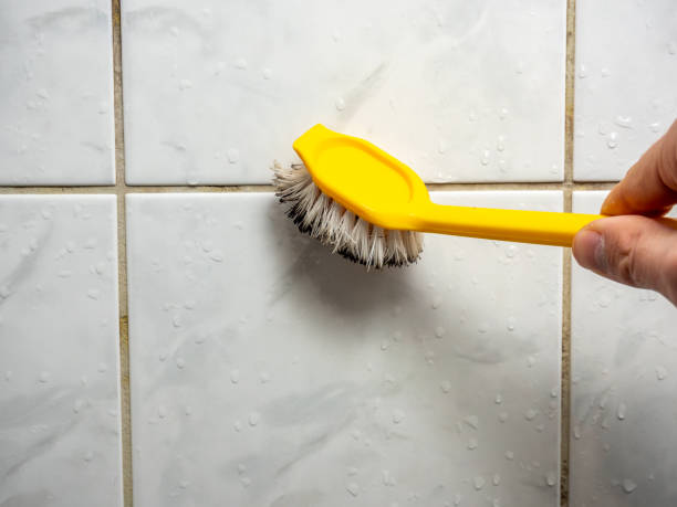 Best Black Mold Remediation in Cornelia, GA