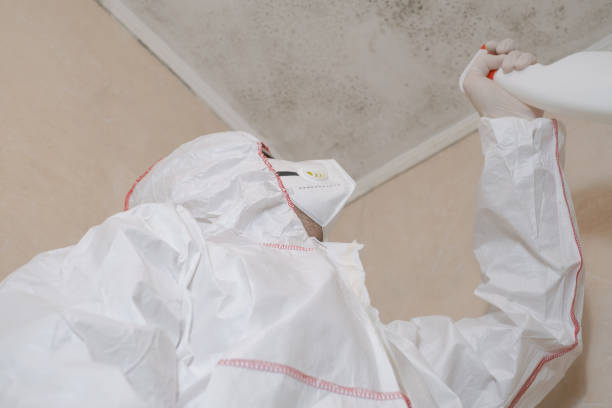 Best Mold Testing and Inspection Services in Cornelia, GA